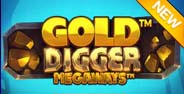  Gold Digger Megaways